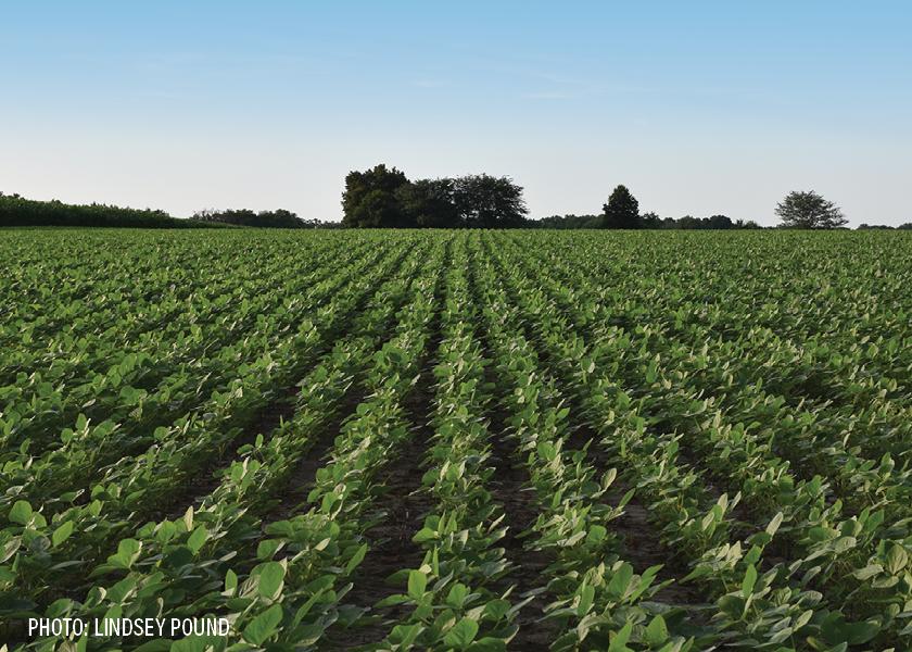 9 Rise in Average Iowa Cash Rent Pro Farmer